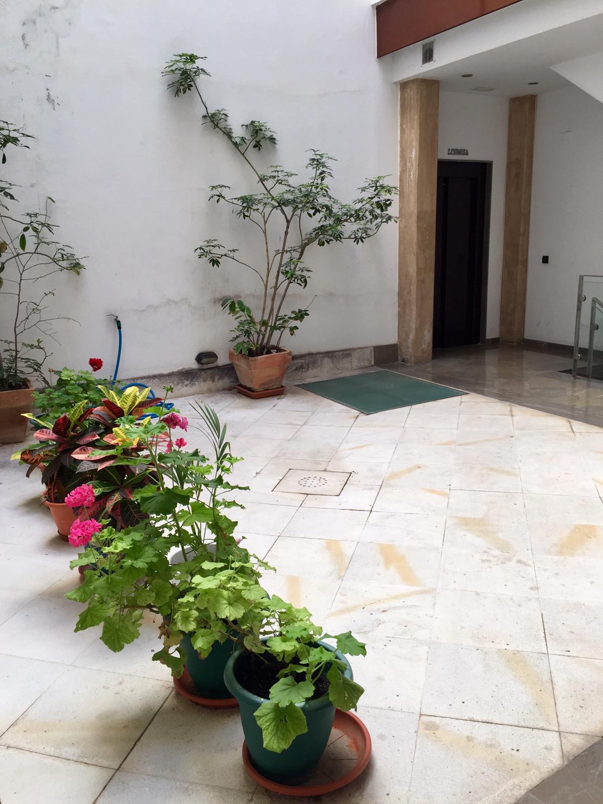 Carretería, Centro Histórico, 1 Dormitorio Habitaciones, ,1 BañoBathrooms,Piso,En venta,Carretería, Centro Histórico,1133